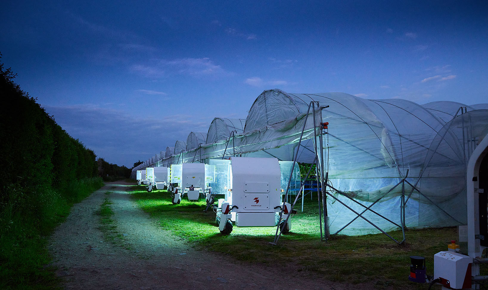 Robots which treat disease with UV light rather than pesticides on trial at Clock House Farm